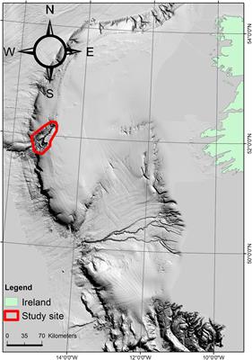 3D Classification of Cold-Water Coral Reefs: A Comparison of Classification Techniques for 3D Reconstructions of Cold-Water Coral Reefs and Seabed